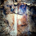 Bob Gorelick - @bobgorelick - Instagram