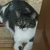 XXX - @bob.gorohovyi - TikTok