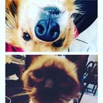 Ollie Bob + Bailey Grace Quinn - @olliebob_baileygrace - Instagram