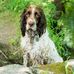 Bob Grainger - Facebook