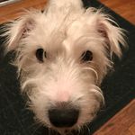Bob Gray - @bobgray7216 - Instagram