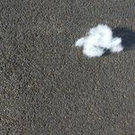 Bob Gray - @bobgrayplay - Instagram