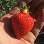 Bob Gray - @graybob - Instagram