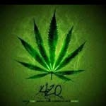 Bob Gree leaf - @bobgreenleaff - Instagram