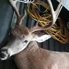 Bobby Grier - @bobby.grier - TikTok
