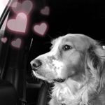 Bob Marley Griggs - @bobmarleygriggs - Instagram