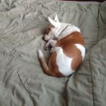Bob Grimes - @bob.grimes.37 - Instagram