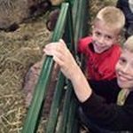 Bob Grimes - @junkman1970 - Instagram