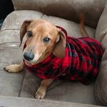 Bob Grimes - @bobgrimes1 - Instagram