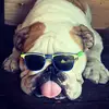 Groh Bob - @groh.bob - TikTok