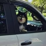 Bob Groth - @bob.groth.3 - Instagram