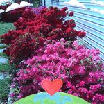 Bob Groves - @k.coachbob48 - Instagram