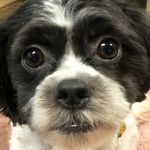 Bob Groves - @bobisadork - Instagram