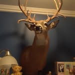 Bob Hagan - @bob.hagan.56 - Instagram