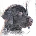 Bob Haley - @dc_tucker_b_haley - Instagram