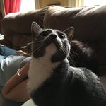 Bob Halpin - @bigb115bigb - Instagram