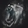 Bob Han - @30248483393 - TikTok