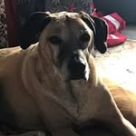 Bob Hancock - @bob.hancock.39108 - Instagram