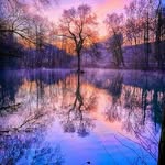 @bob__harold - Instagram