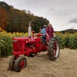 Bob Harrell - @bobchopshop - Instagram