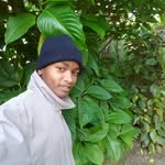 bob harry - @bobharry6 - Instagram