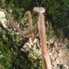 Bob Haung - @bob.haung - TikTok