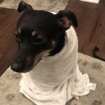 Robert Hausmann - @bobhaus - Instagram