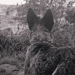 Bob_Heller - @bob_heller_ - Instagram