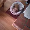 Bob Shelton - @bob.shelton - TikTok