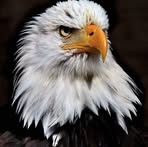 Bob Hendrickson - Facebook