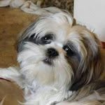 Bob Hendrickson - @hendricksonbob - Instagram
