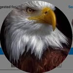 Bob Hendrickson - @bobu.scg - Instagram