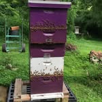 Bob Hendrickson, AKA Bobbi - @residentialspecialtylandscapes - Instagram