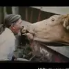 bobhendrickson007 - @bobhendrickson007 - TikTok