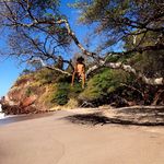 Bob Hernandez - @this_is_evans_05 - Instagram