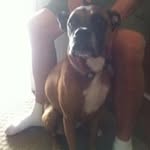 Bob Hester - @bobhester1 - Instagram