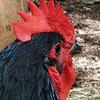 Rob Hiatt - @rob.hiatt - TikTok