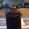 @grappig#muziek - @hier.is_bob - TikTok