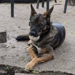 Bob Hilbert - @roberthilbert41 - Instagram