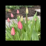 Bob Hilbert - @bobhilbert - Instagram
