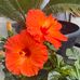 Bob Hilbert - Facebook