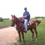 Bob Hilliard - @bobhilliard - Instagram
