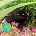 Bob Hobson - Facebook