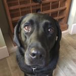 Bobby Hobson - @hobson.bobby - Instagram