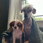 Bob Hogue - @bob.hogue.33 - Instagram
