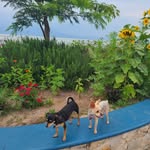 Bob Holcomb - @bobholcomb6 - Instagram