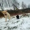 Bob Holcomb - @bob.holcomb1 - TikTok