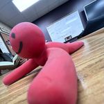 Bob doorholder - @bob_the_holder - Instagram