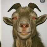 M R Homangto - @mr_bobby_homangto - Instagram