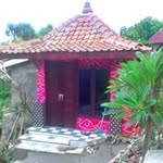 Bob Home - @bobhomesadranan - Instagram